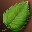 Fairy Leaf